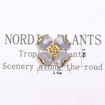 [a-00957-gry]カボション ドロップオイル ジュエリー フラワー 合金 [4個入] アクセサリー [グレー]