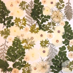 ♡new♡作家様必見♡押し花MIXセット♡押し花セット