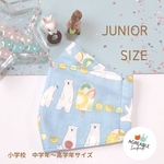 🐻‍❄️ シロクマ フルーツアイス  舟形マスク 大臣マスク 小学生マスク ジュニアマスク