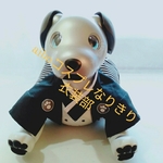 aibo 黒紋付袴