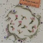 押し花　小花　エリカ　HBスターチス　ｓｅｔ　素材　花材　レジン　ハーバリウム　キャンドル　封入