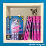 『今だけ！』写真集【主水の猫談】※主水2023カレンダー付き！