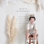 Birthday Tapestry / big - simple - | コットンリネン | 誕生日飾り | 誕生日 | バースデータペストリー