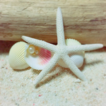 No.16  シンプルデザイン♡ シェル×スターフィッシュバレッタ♡*｡ﾟ