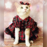 ご予約者様専用送料無料☆彡赤チェックのパフスリーブ風ワンピース〜猫のワンピース