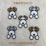★うちの子ワッペン★ワイヤーフォックステリア♪ オーダーメイド刺繍ワッペン  寄付金付き