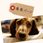 【r様ご購入専用】持仰向けダックス☆レッド☆羊毛フェルト