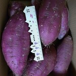 とにかく大きな「べにはるか」（さつまいも）5kg
