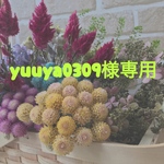 yuuya0309様専用ページ