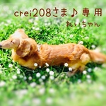 crei208さま♪専用    れいちゃん