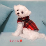 3S〜3L ♡裏地付き♡タータンチェック赤×ベージュ♡フリースパーカー♡