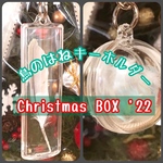 クリスマスBOX 〜鳥の羽キーホルダー・うちのコ写真キーホルダーセット〜　インコや文鳥さんなどの小鳥さんのハンドメイドおもちゃ