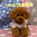 羊毛フェルト　トイプードル