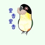 sshinamon77様