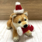 クリスマス🎄プレゼントをねだる柴犬ちゃん🐕羊毛フェルト