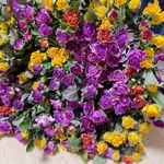 薔薇ドライフラワー　ガーランド花材　キャンドル花材　レジン　ハーバリウム花材　花材　ドライフラワー花材