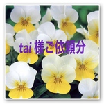 tai様ご依頼分