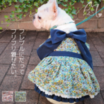 【オーダーメイド】ぱっちゃんワンピ(犬用ワンピース)