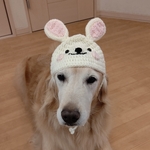 🐶オーダー専用ページ🐶