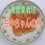 《無農薬栽培》和歌山県産  『甘くて ジューシー♪』 ☆ちかちゃんの柿☆50g