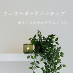 フルオーダー（サイズが分かる方）