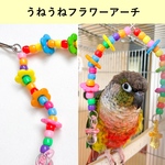 【期間限定SALE】自由自在にデザイン出来る！鳥さんアーチ🌼