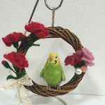 ※専用ページです※  kaorimaomamo様ご依頼のセキセイインコのリース♪