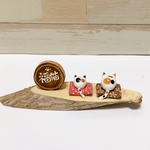 福猫　三毛猫