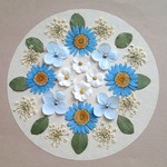 押し花セットE＜組み立てのお花＆ノースポール＆レースフラワー他＞