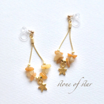 星の石✳︎イヤリング
