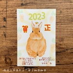 卯のイラストお年玉年賀状5枚セット