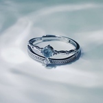 受注生産 silver ring 《Météore》