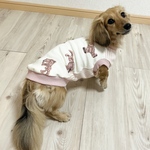 犬服【うさぎ柄🐰×ストライプのタンク】