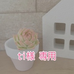 ❁⃘*.ﾟ ti様 専用 ❁⃘*.ﾟ