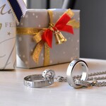 クリスマス ペアトップネックレス リングホルダーつきチェーンセット  刻印・ケース代金込【安心のサージカルステンレス】