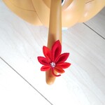 aibo紅葉狩り(2022)