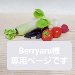 Berryaru様専用ページ　1/6サイズミニチュア野菜、果物