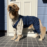 【大型犬】オーバーオール