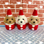 🎄ふわふわなトイプードルサンタさん🎄