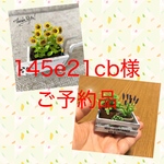 🌻ミニチュアひまわりの花車、アジアンタム、グリーンネックレス、ラベンダーの鉢植え