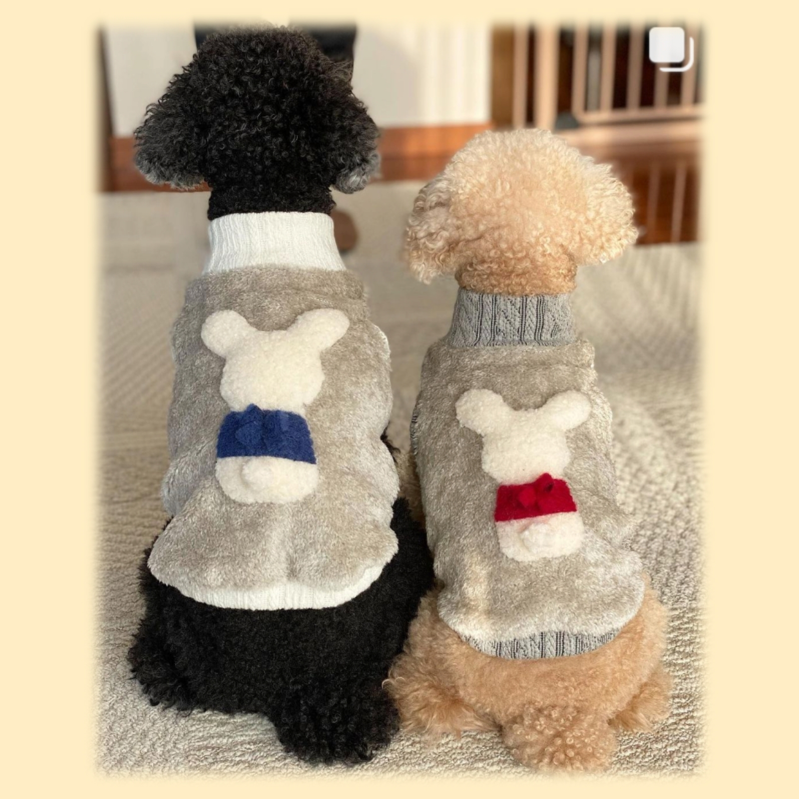 がりまで 犬服 わんこ服 犬用品 裏毛 ハンドメイド Ⅱほどかかる - residenciallaranjeiras.com.br がりまで 犬服 わんこ服 犬用品 裏毛 ハンドメイド Ⅱほどかかる - residenciallaranjeiras.com.br