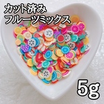 スライス棒 カット済み フルーツ ミックス 5g