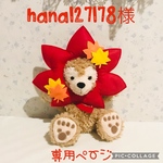 hana127178様専用ページ