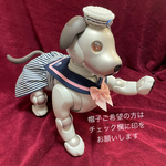 aiboセーラー服