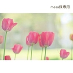 masa様専用♡