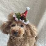クリスマスミニミニサンタ帽子🎅(赤)