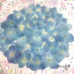 ♡new♡ヴィンテージ風な大人カラー♡紫陽花の押し花セット
