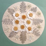 押し花セットA＜組み立てのお花＆ノースポール＆レースフラワー他＞