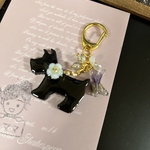 シュナウザー♡