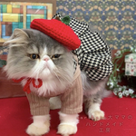 🍎林檎のベレー帽🍎　猫　ペット　帽子